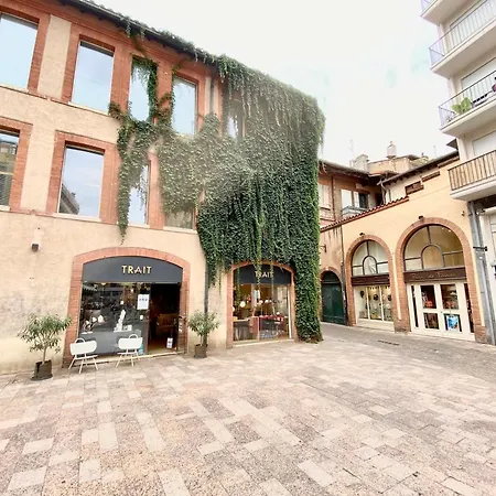 Le Perk - Centre Historique Toulousain Appartement *