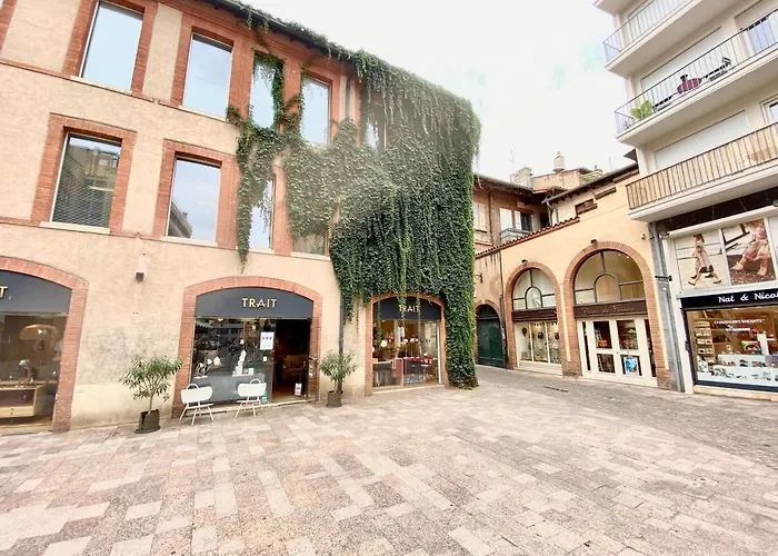 Le Perk - Centre Historique Toulousain Appartement *