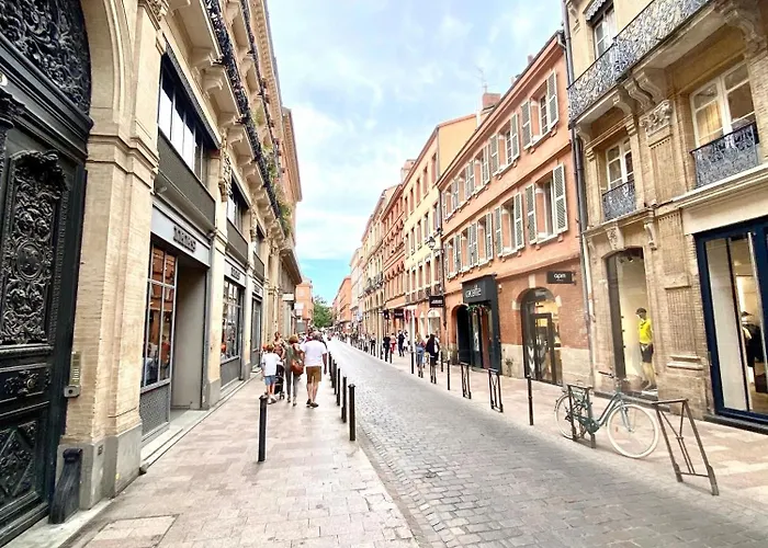 Le Perk - Centre Historique Toulousain Appartement
